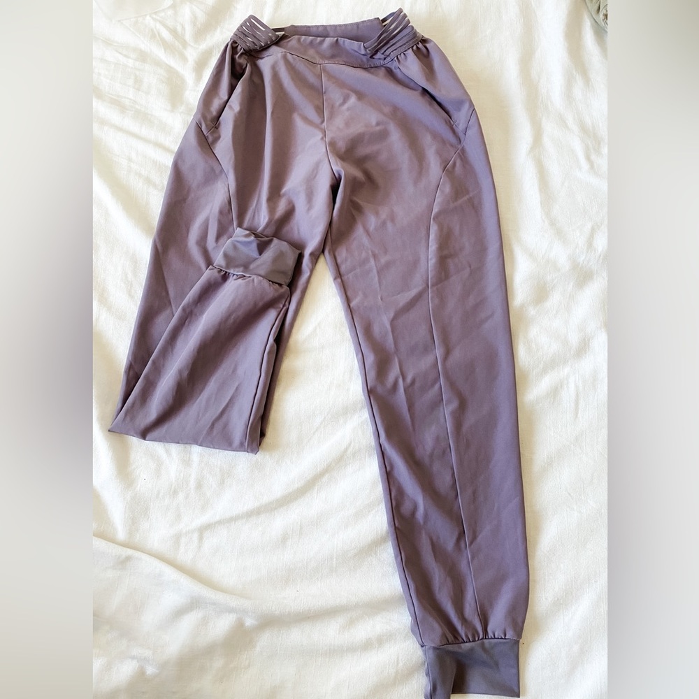 Halara joggers.